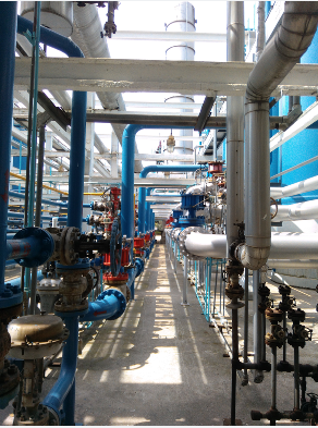 1716444400100.png image.png